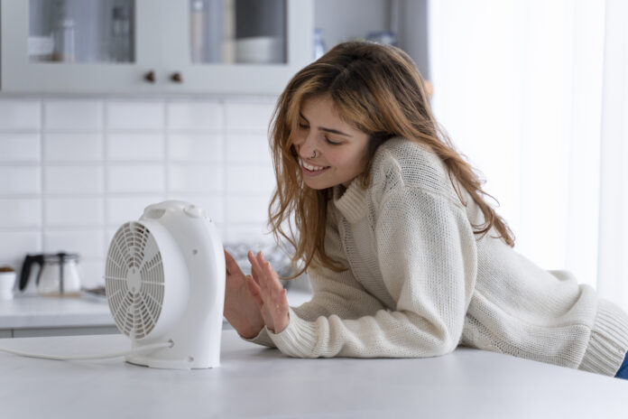 Best Fans to Keep You Cool
